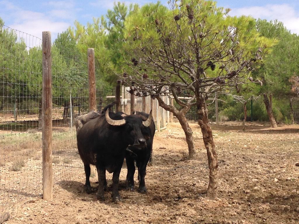 Apartamento Turistico Cigueena De Arguedas Luaran gambar