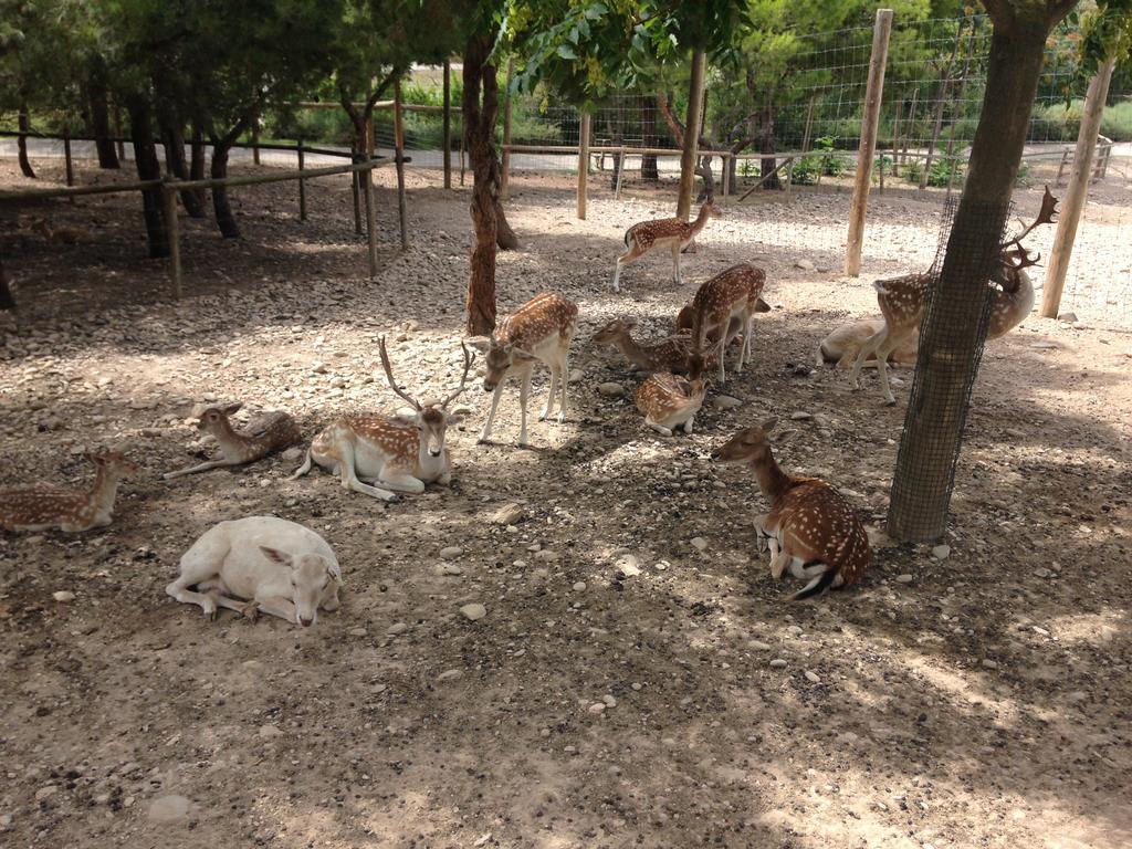 Apartamento Turistico Cigueena De Arguedas Luaran gambar