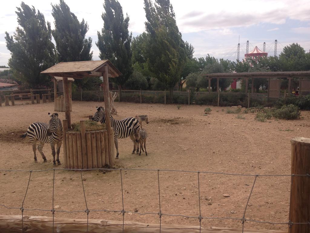 Apartamento Turistico Cigueena De Arguedas Luaran gambar