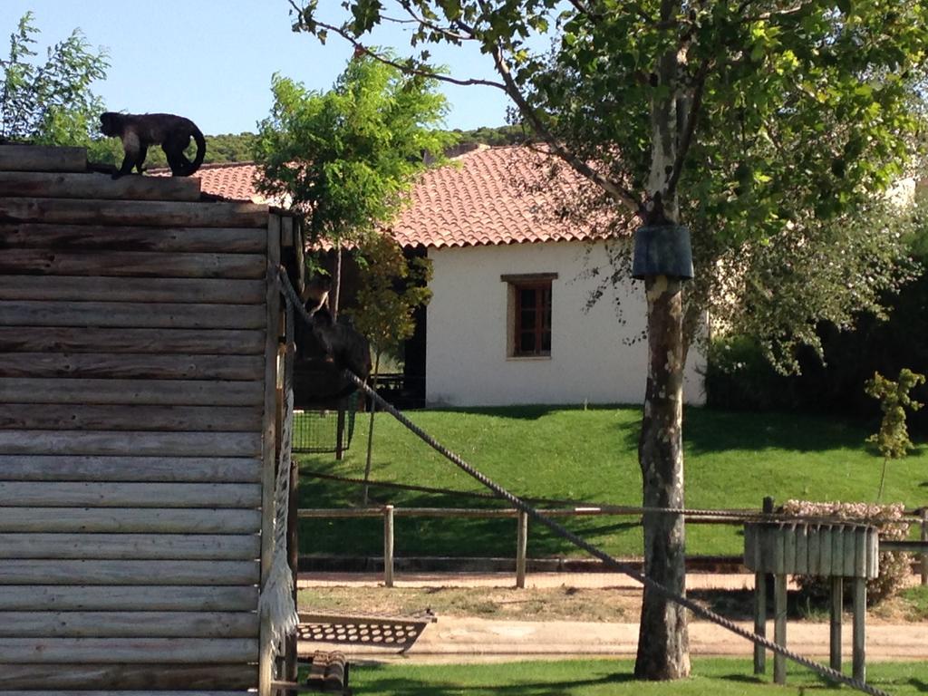 Apartamento Turistico Cigueena De Arguedas Luaran gambar